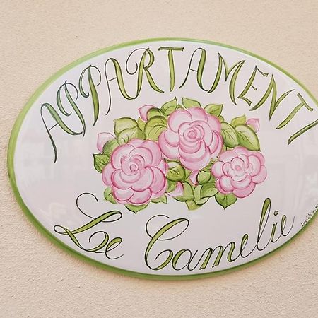 Le Camelie -Appartamenti Nuovi Porto SantʼElpidio Buitenkant foto