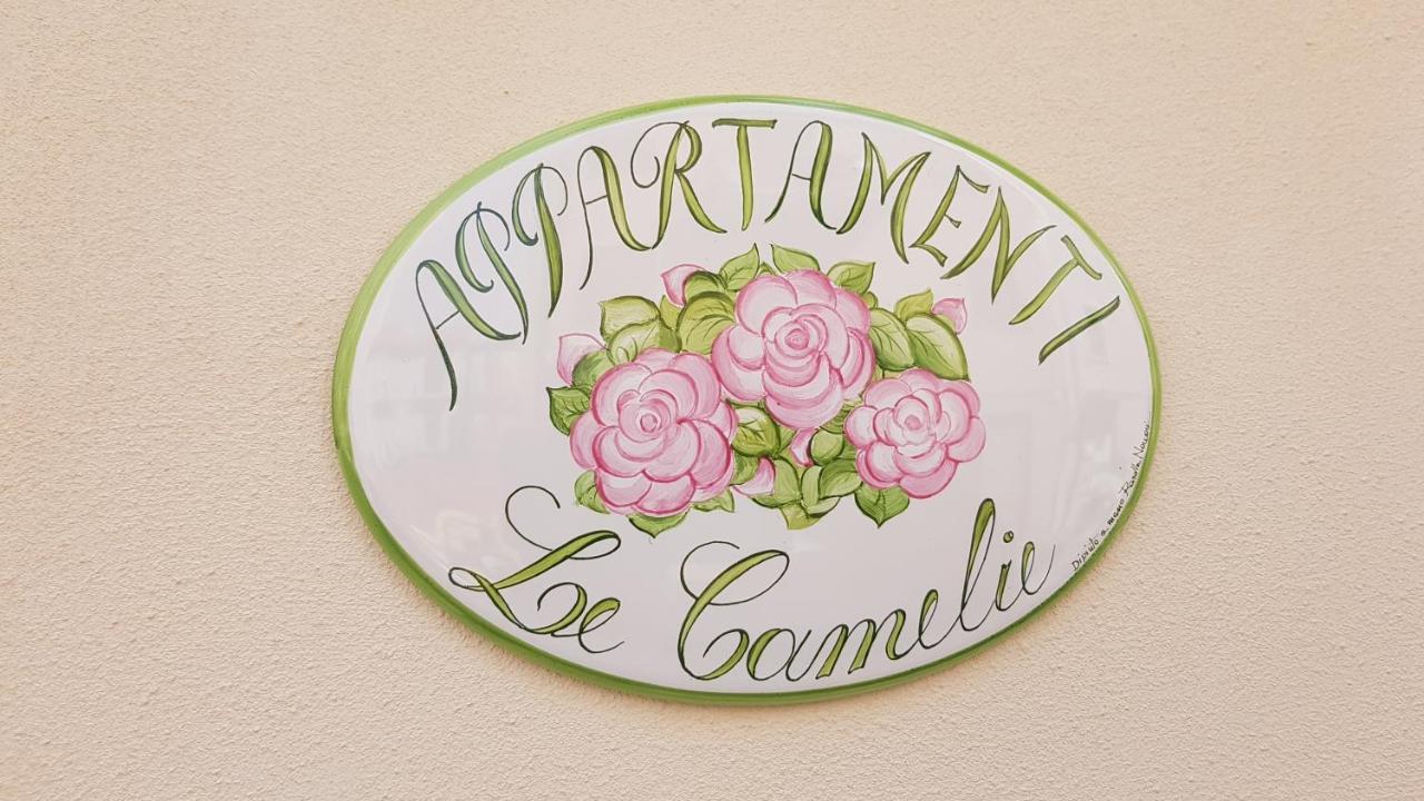 Le Camelie -Appartamenti Nuovi Porto SantʼElpidio Buitenkant foto